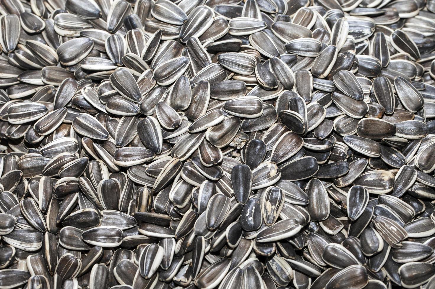 Delicious Organic Food Sunflower Seeds photo