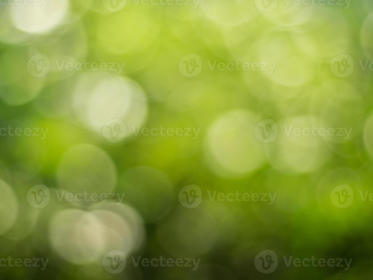 Natural outdoors bokeh background green and yellow tones photo