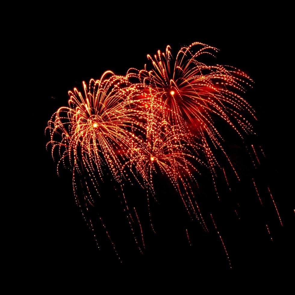 Beautiful fireworks on black background. photo