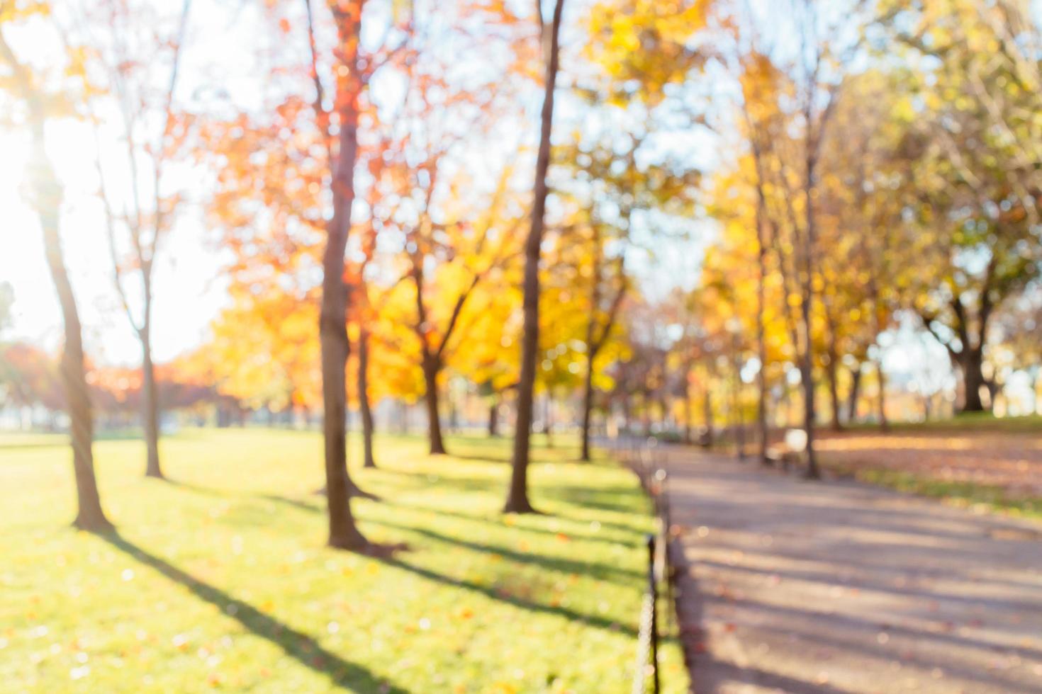 Hermoso fondo desenfocado de un parque en otoño foto