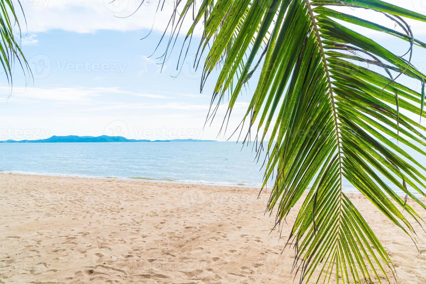 Palm and tropical beach at Pattaya in Thailand photo