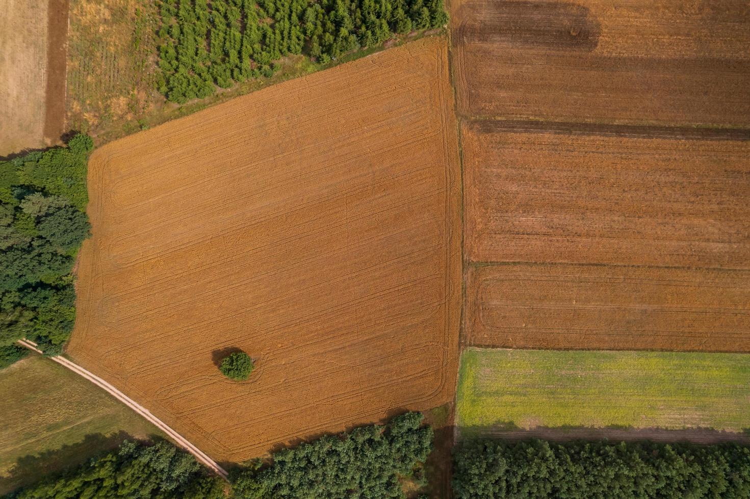 Vista aérea de los campos de la campiña polaca durante el verano foto