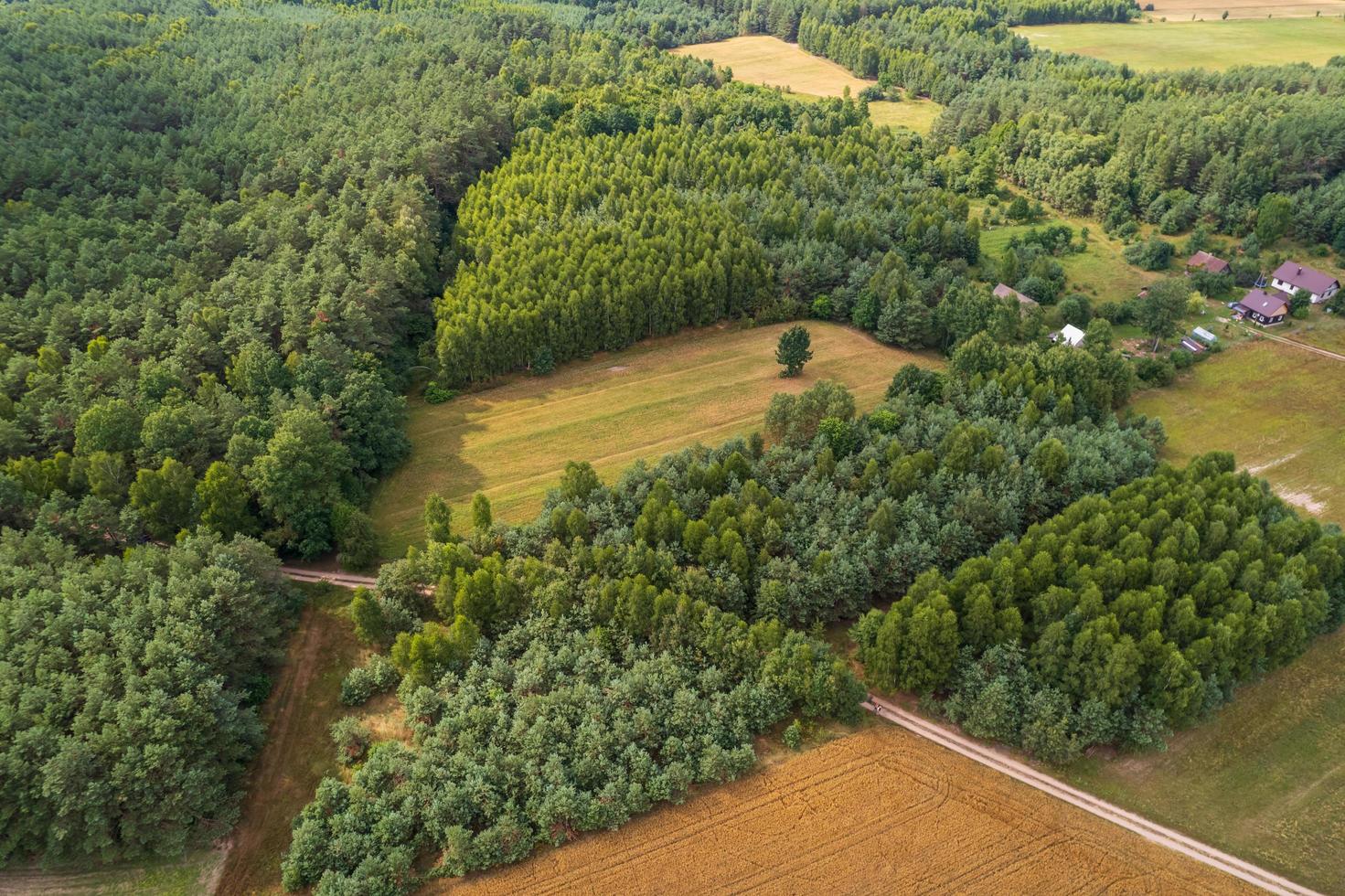 Vista aérea de los campos de la campiña polaca durante el verano foto
