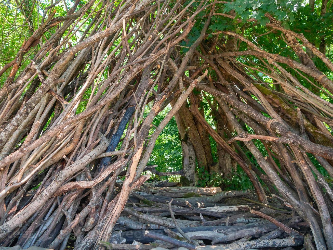 A hut made of branches in the forest in summer photo