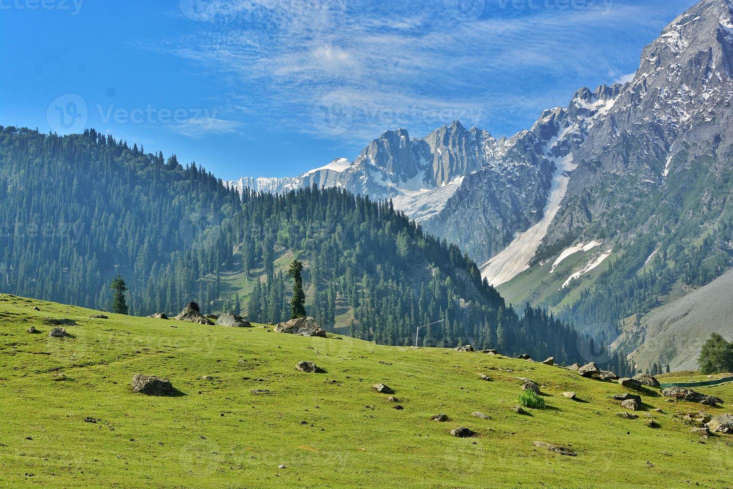 sonmarg el prado de oro foto