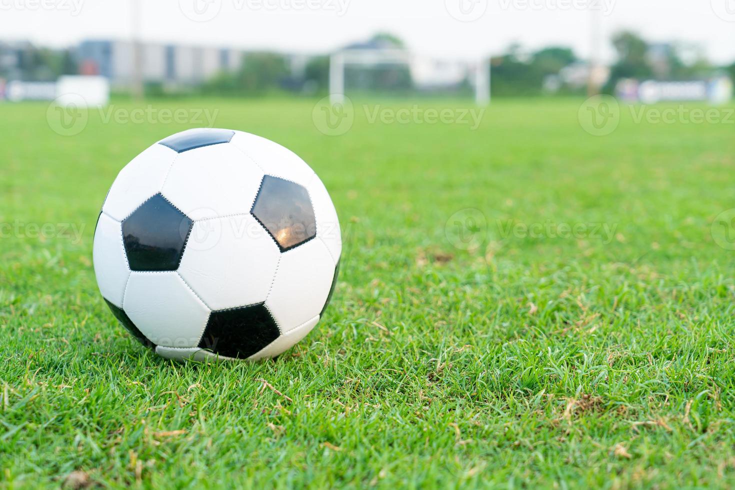 Soccer ball on the ball field photo