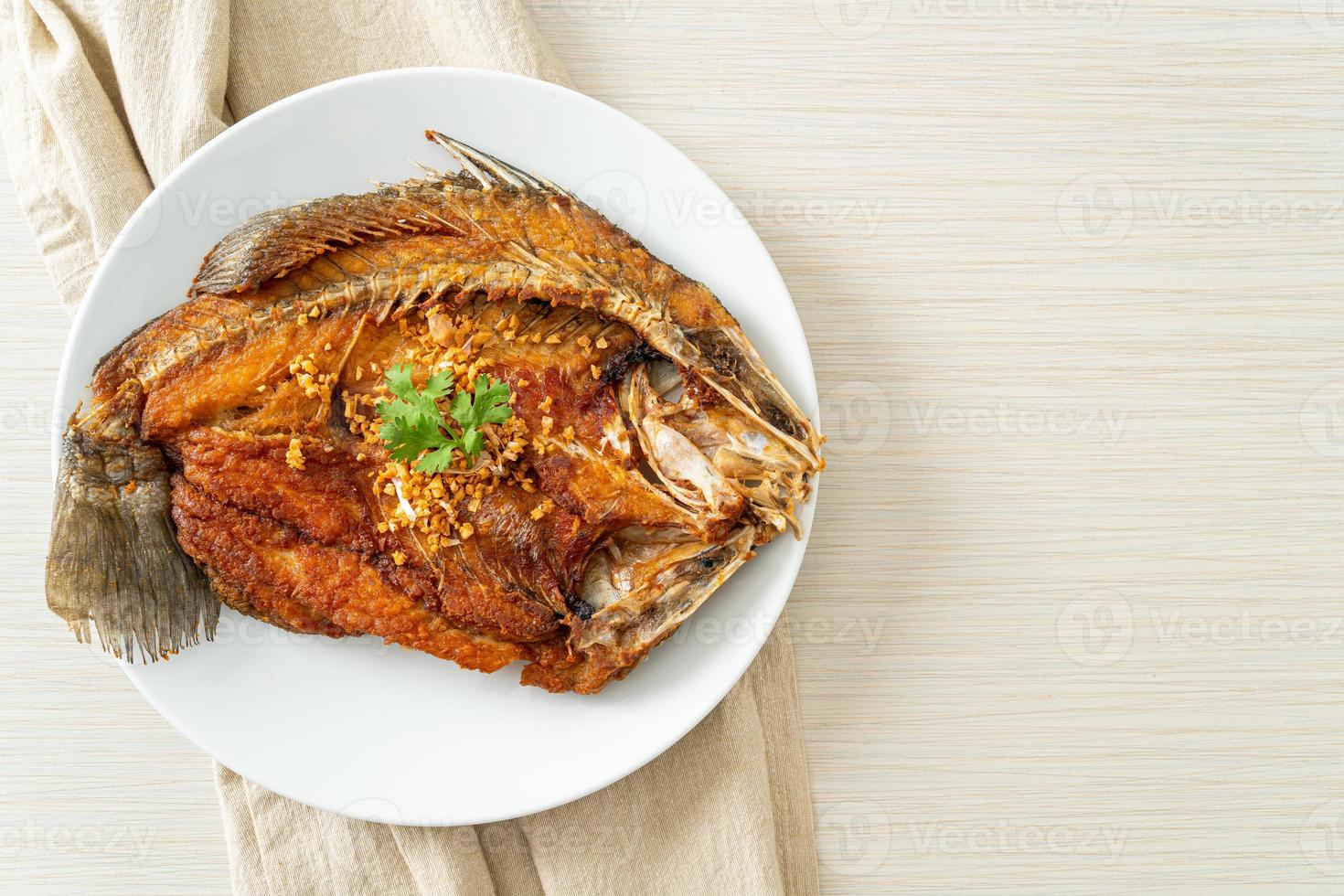 Fried Sea Bass Fish with Garlic photo