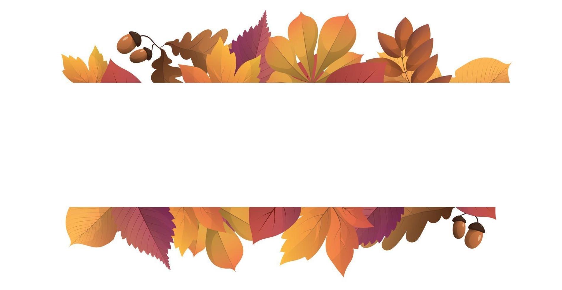 Realistic autumn foliage, white background with space for text vector