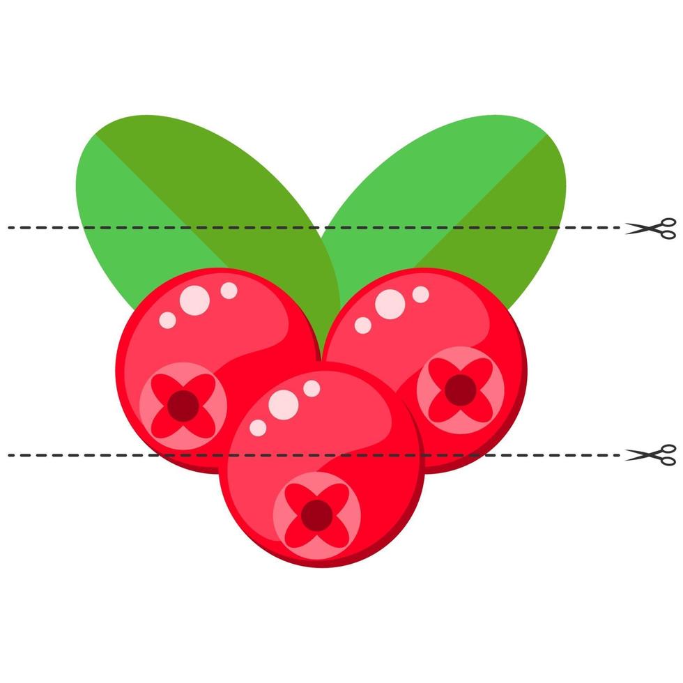 Cut the picture into pieces. Fold in the right order. cranberries vector