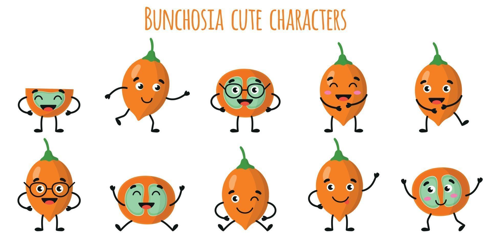 Bunchosia fruit cute funny characters  with different emotions vector