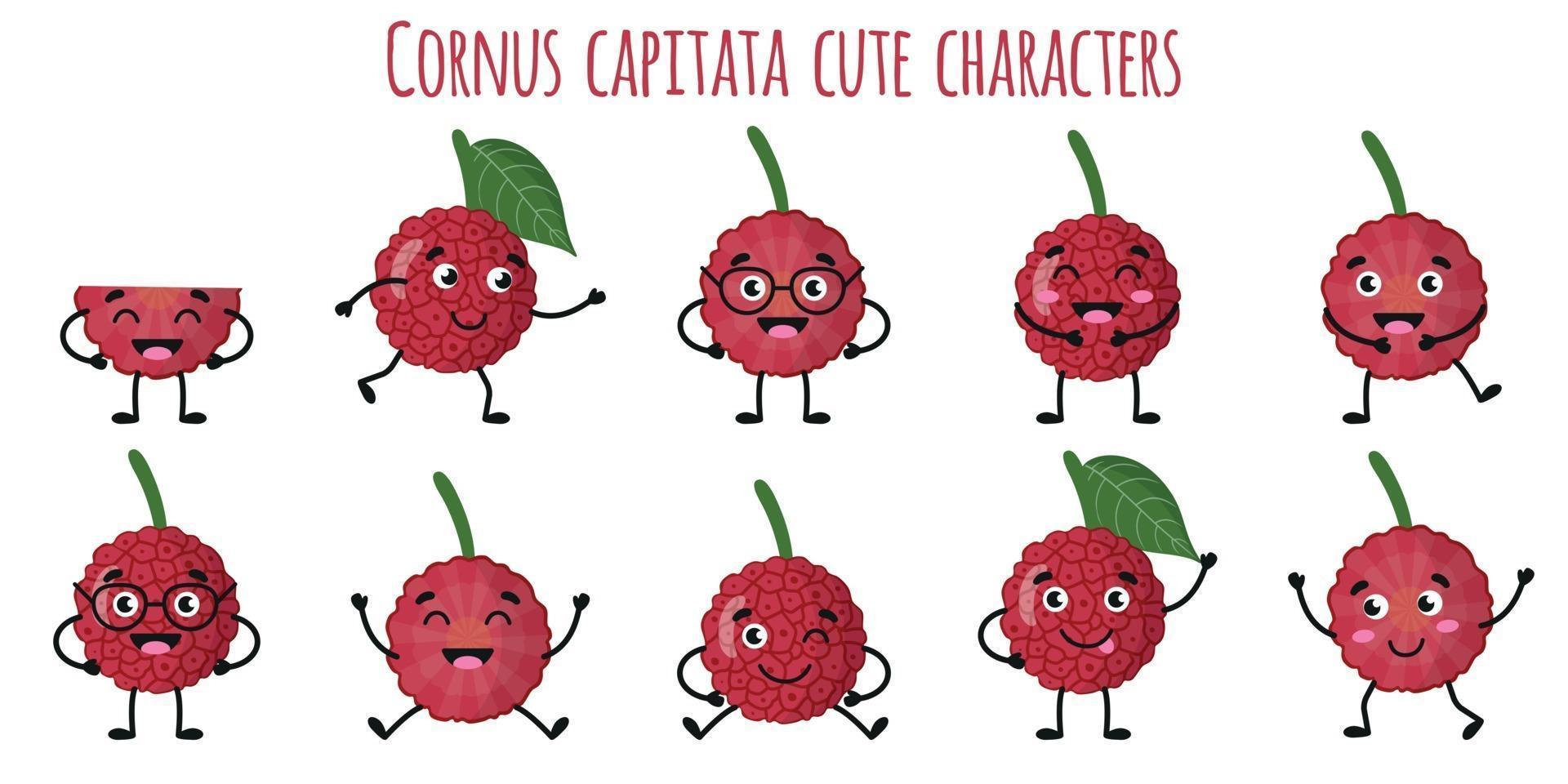 Cornus capitata fruit cute funny characters  with different emotions vector