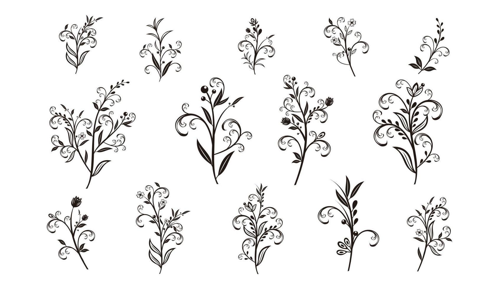 Beautiful hand drawn floral vector collection