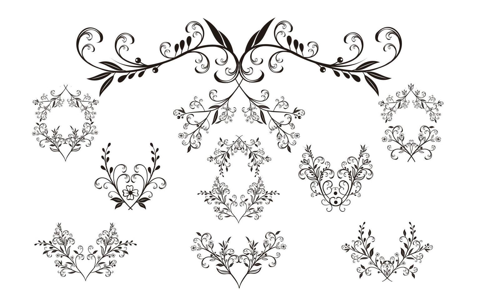 Beautiful hand drawn floral vector collection