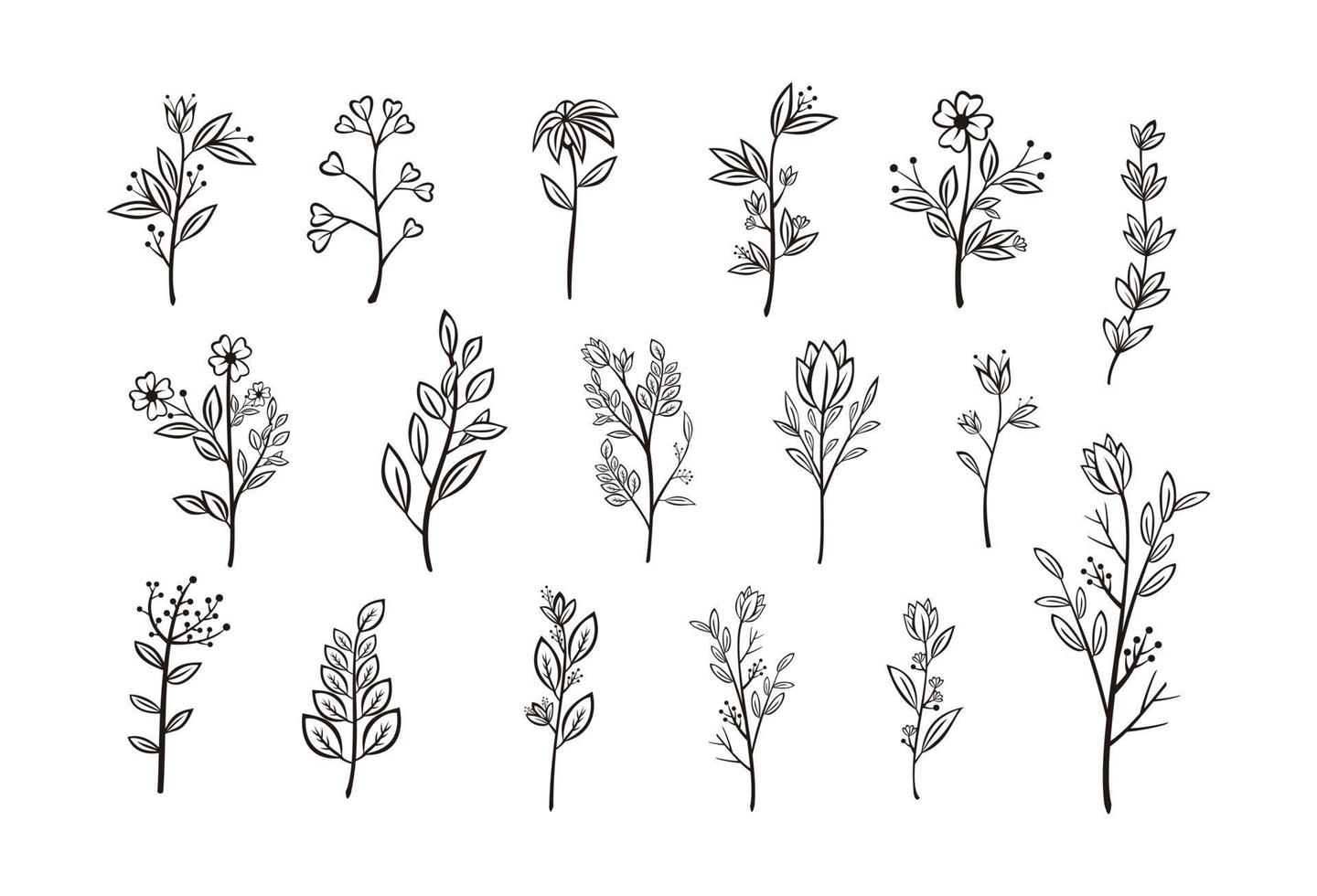 Beautiful hand drawn floral vector collection