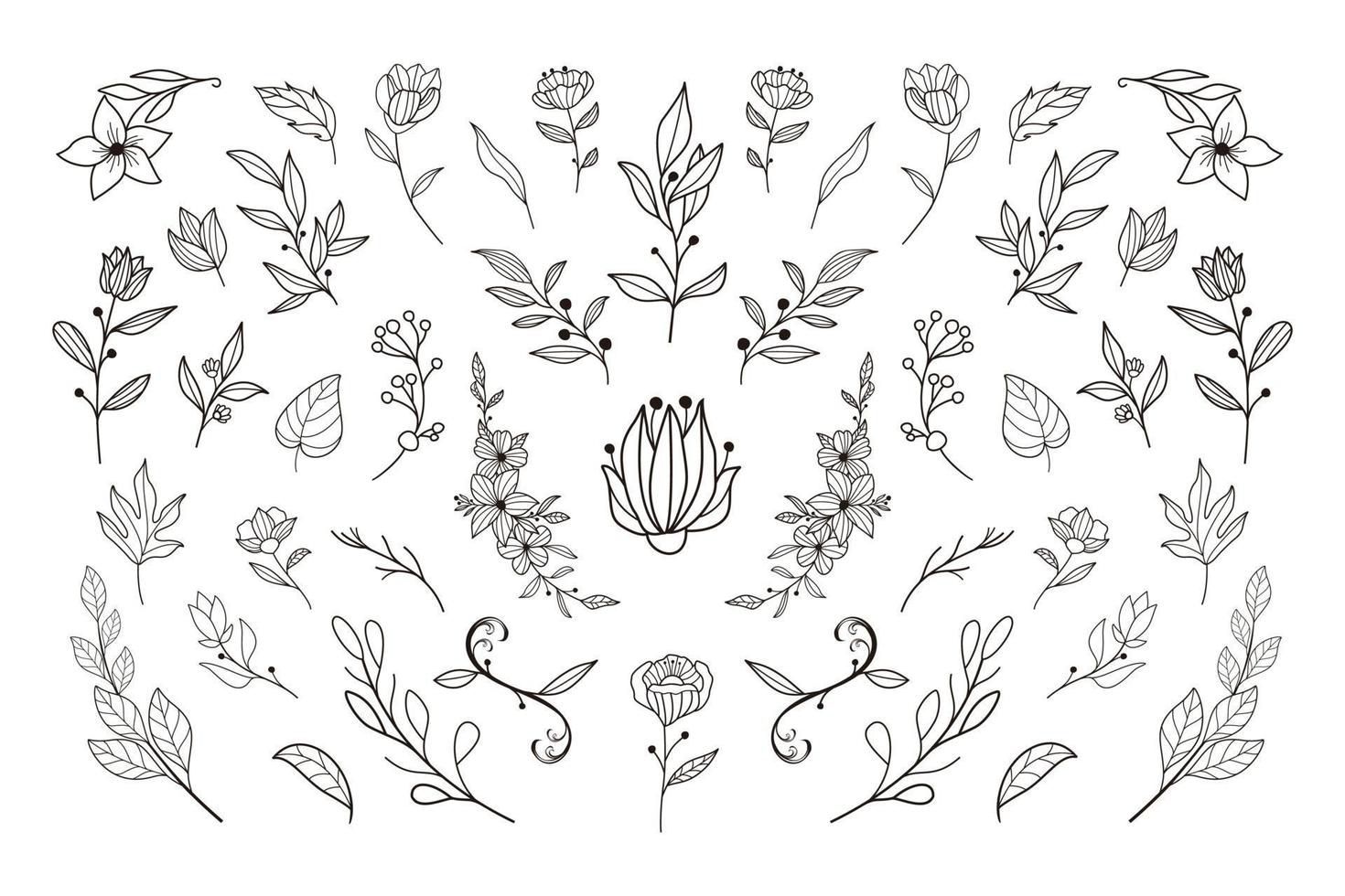 Beautiful hand drawn floral vector collection