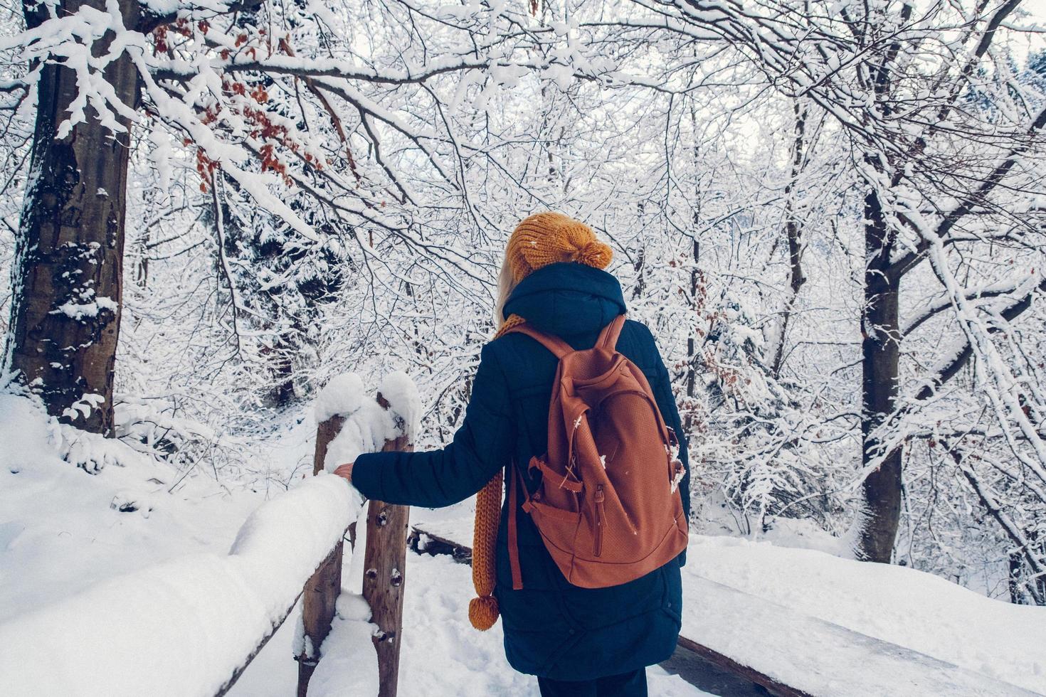 Beautiful young girl in a winter park walks in the winter forest photo