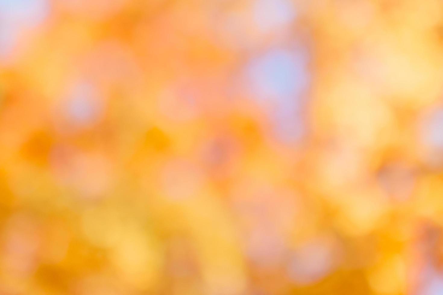 Beautiful out of focus background of a park in Autumn photo