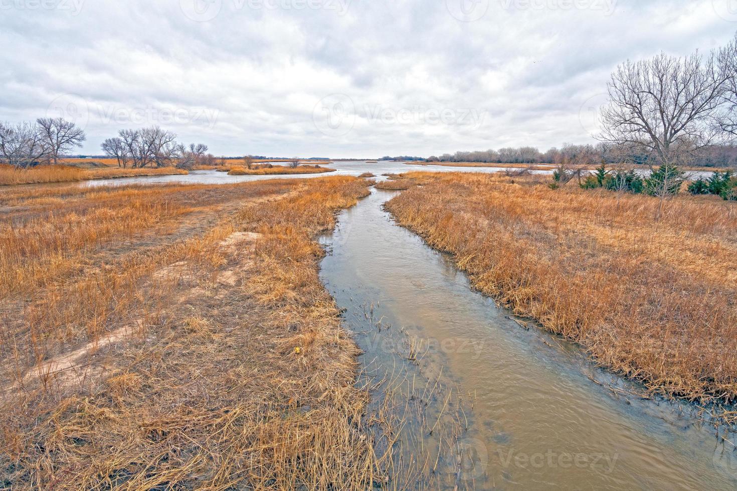 isla en el río platte en invierno foto