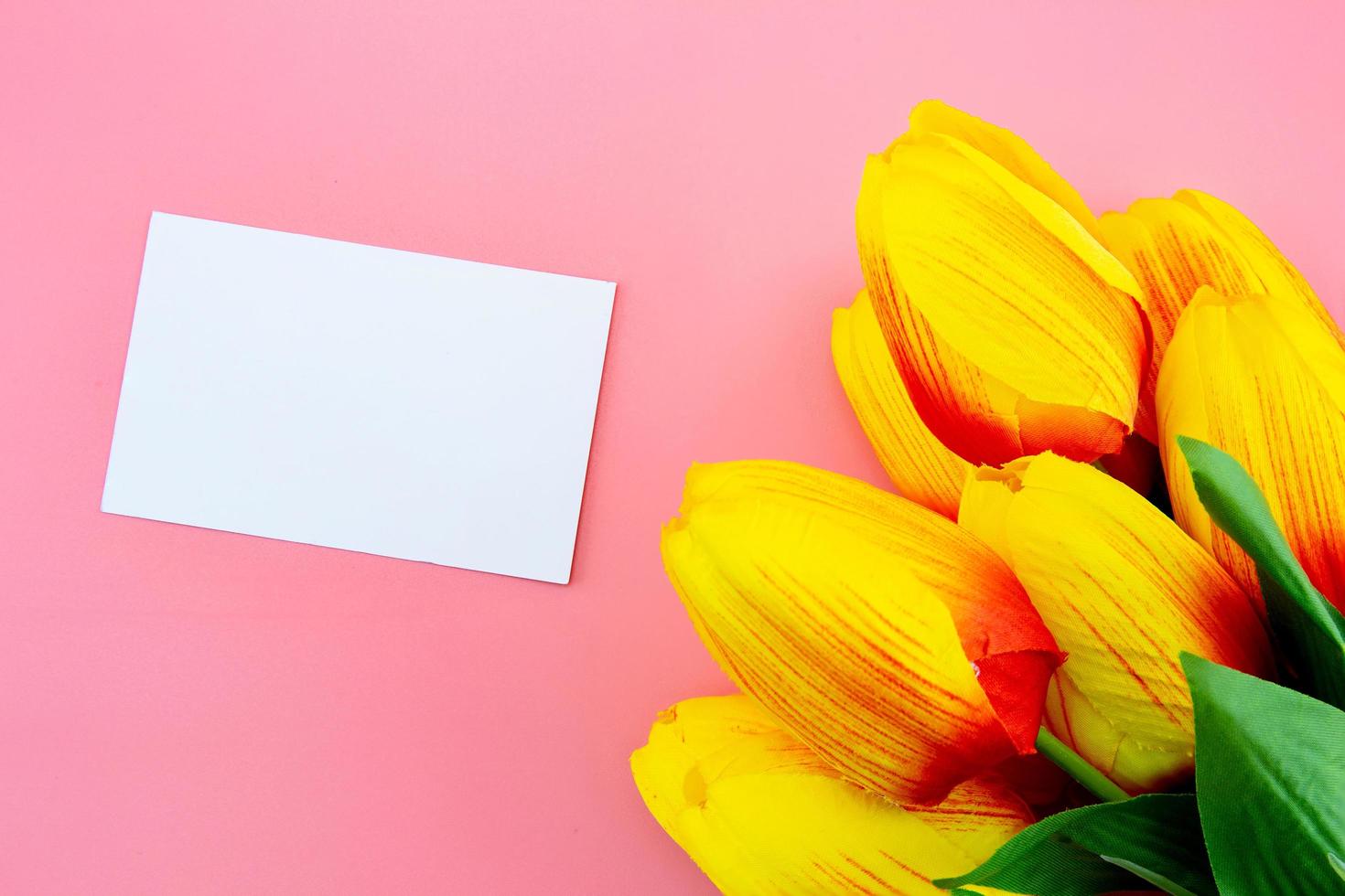 Flor de tulipán amarillo y tarjeta, nota o etiqueta sobre fondo rosa foto