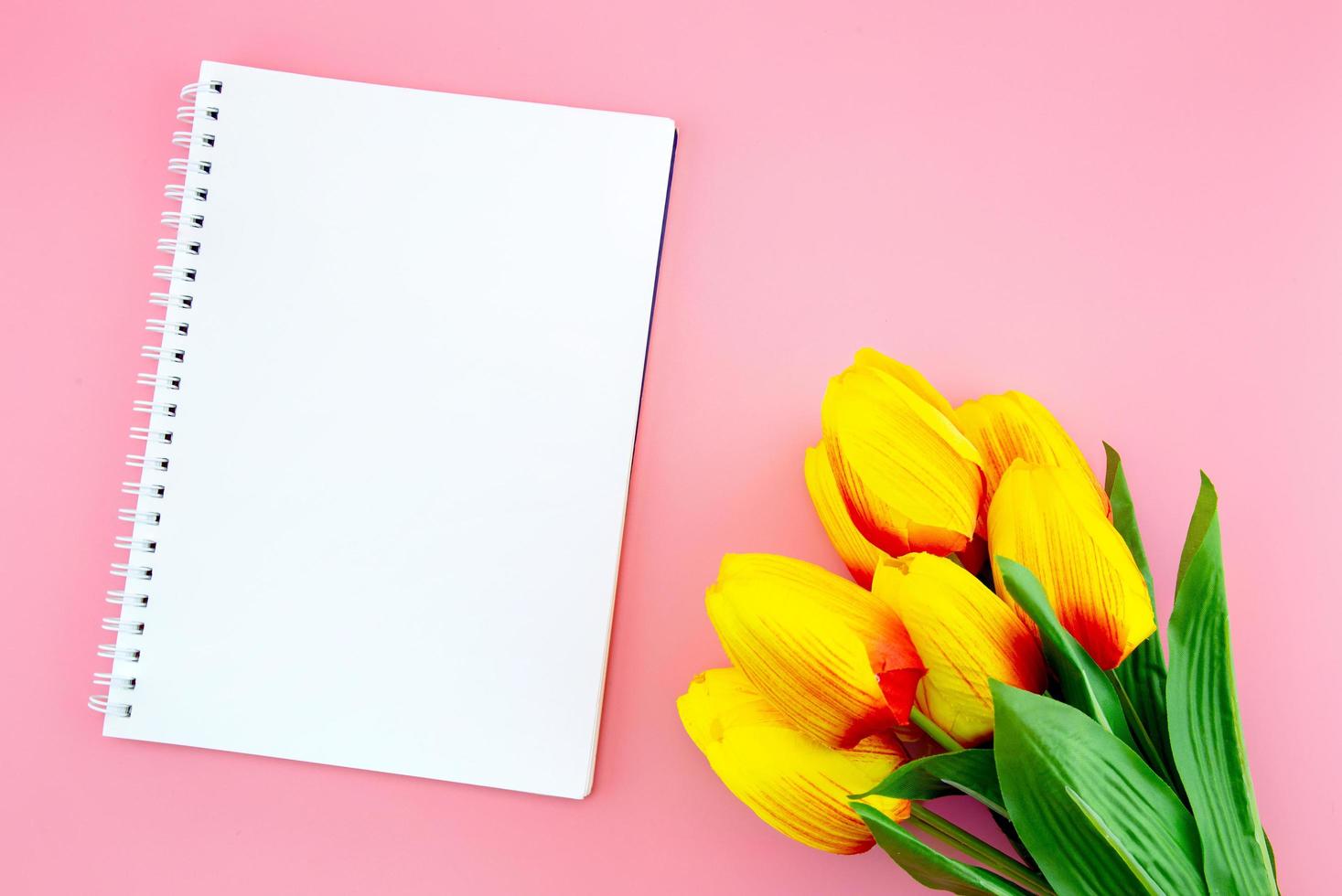 Yellow tulip flower and paper, note on the pink background photo