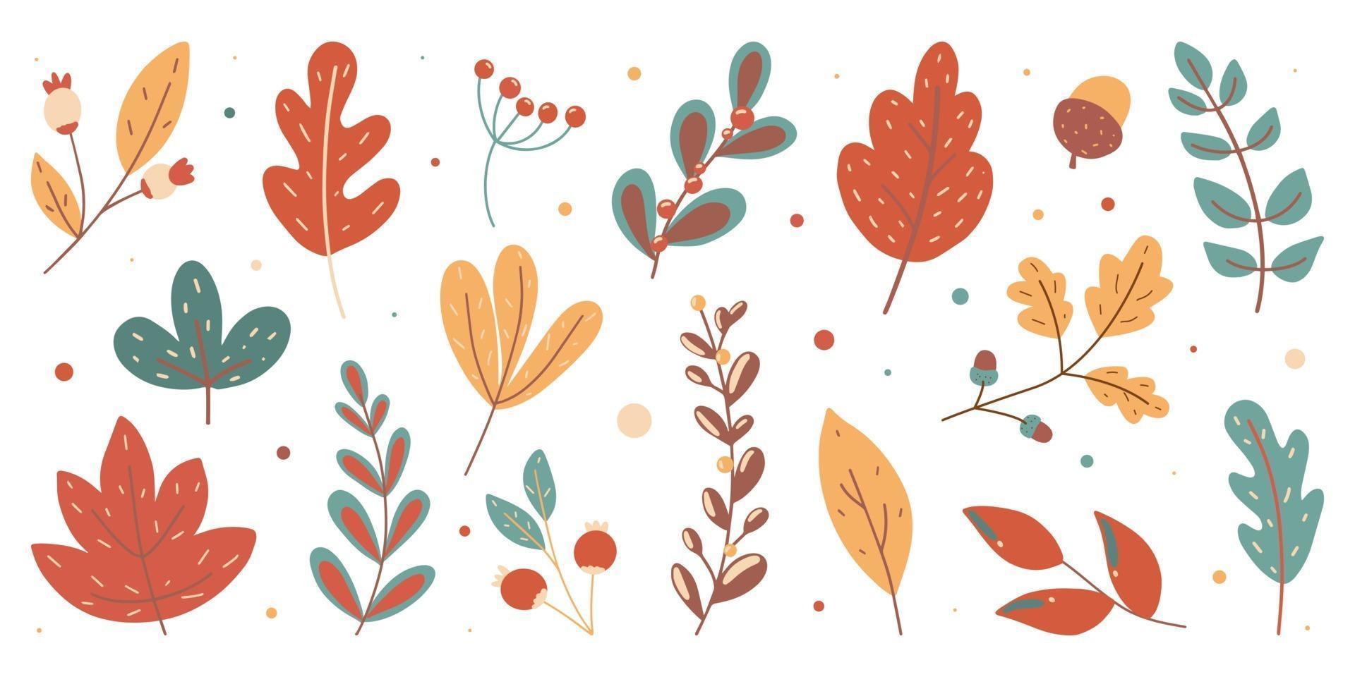 conjunto de colores otoñales. colección de hojas caídas dibujadas a mano estacional vector