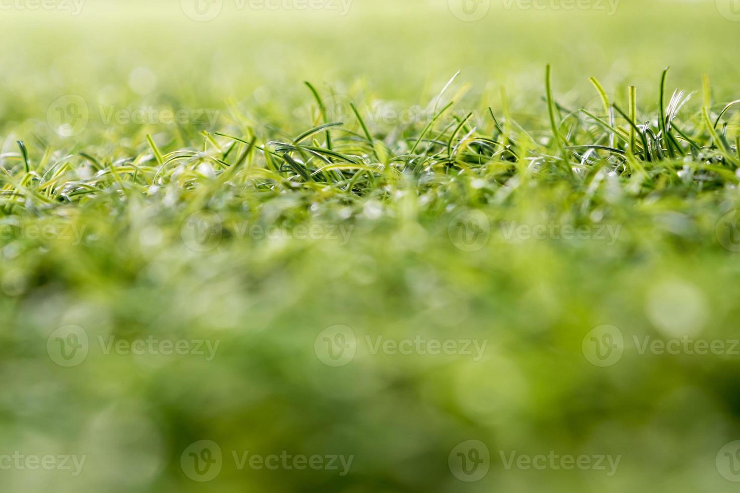 Plastic artificial grass of school yard by shallow depth of field photo