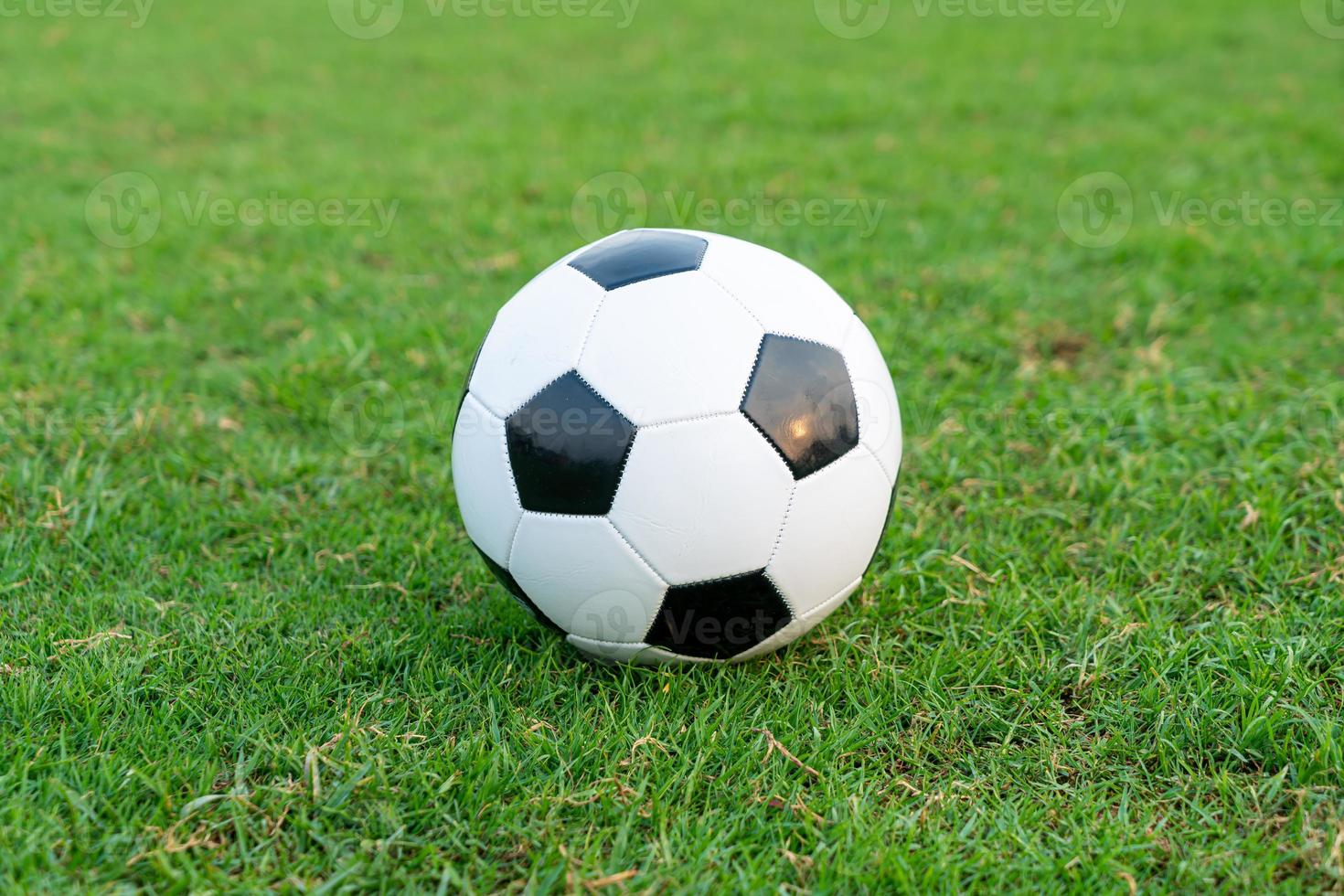 Soccer ball on the ball field photo