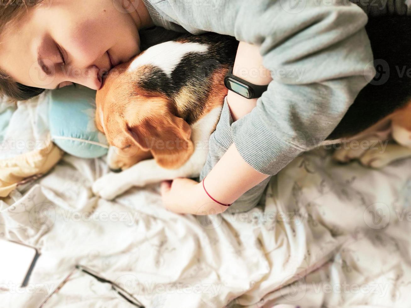 Girl and beagle dog sleep together. Girl hugs a dog. Home pet. Love. photo