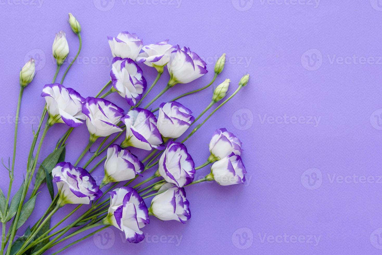 A bouquet of beautiful freshly cut purple eustoma photo