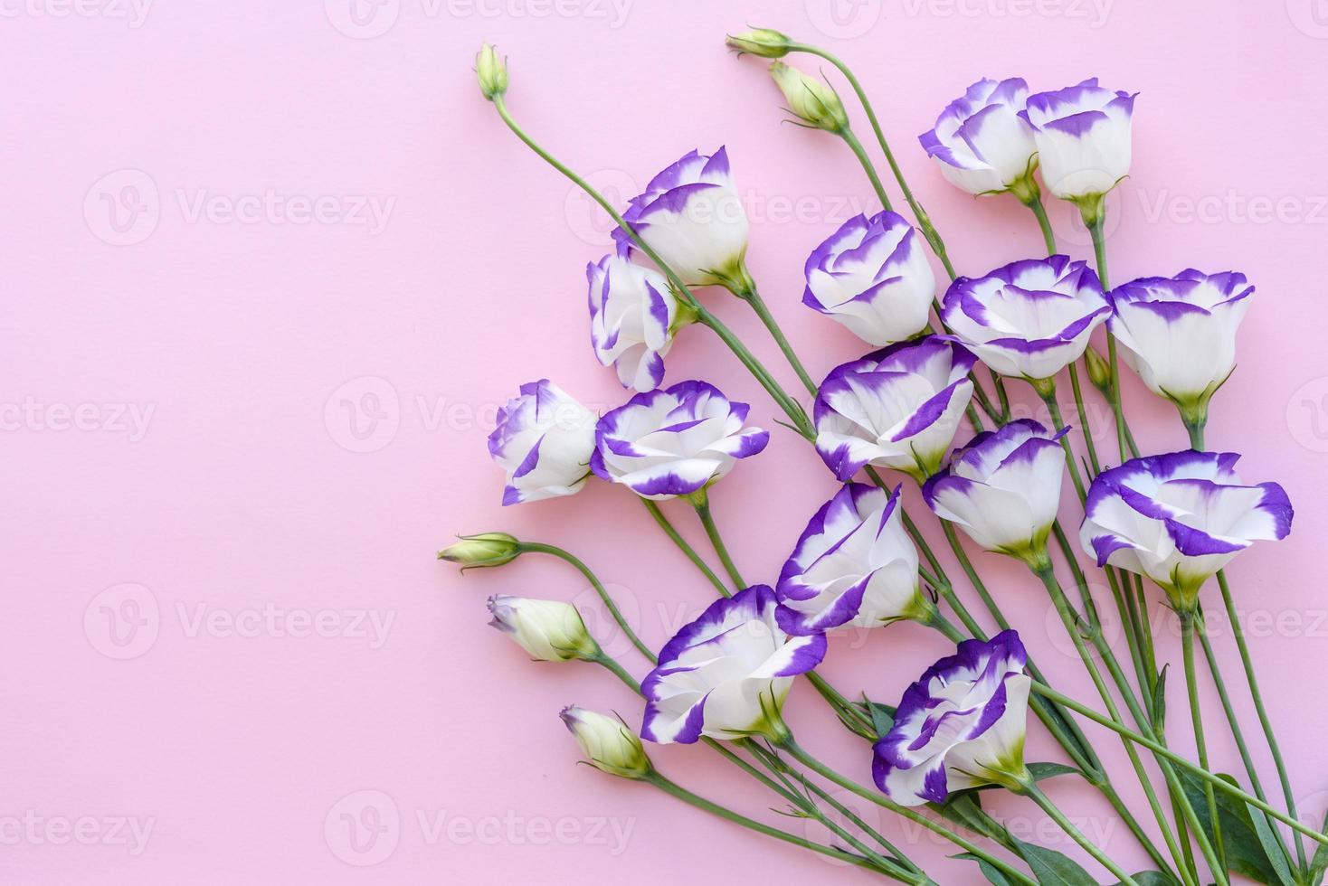 A bouquet of beautiful freshly cut purple eustoma photo