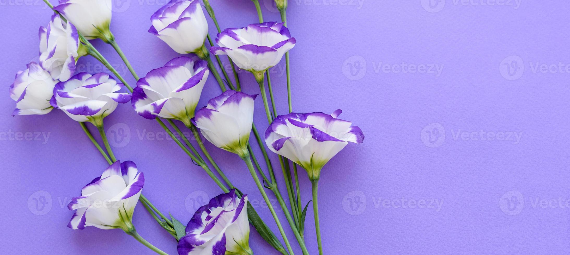 un ramo de hermoso eustoma morado recién cortado foto