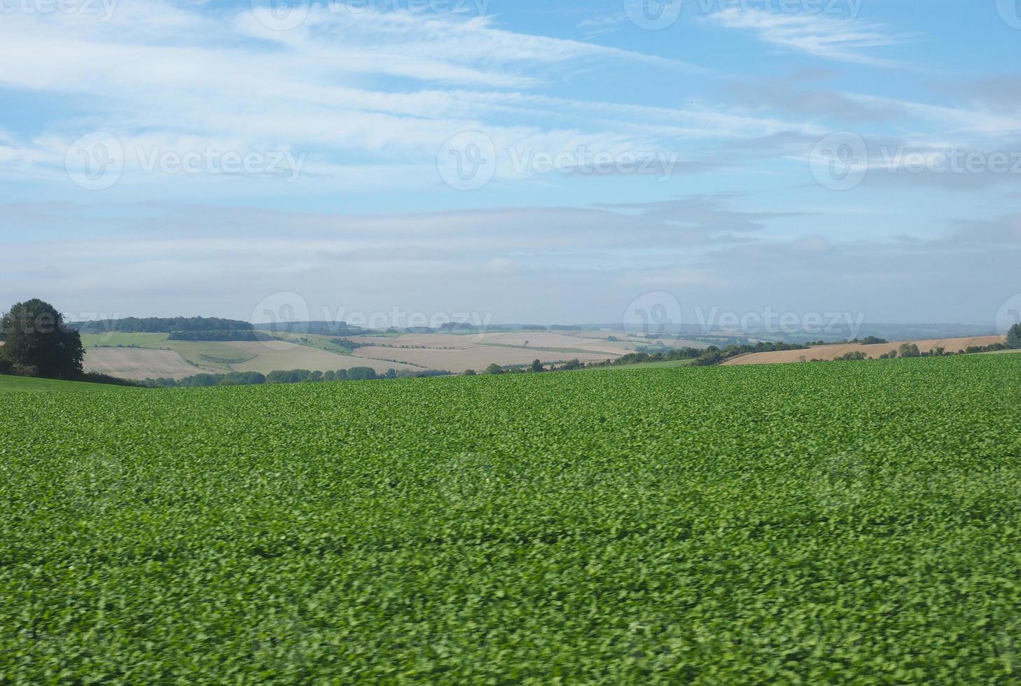 English country panorama in Salisbury photo