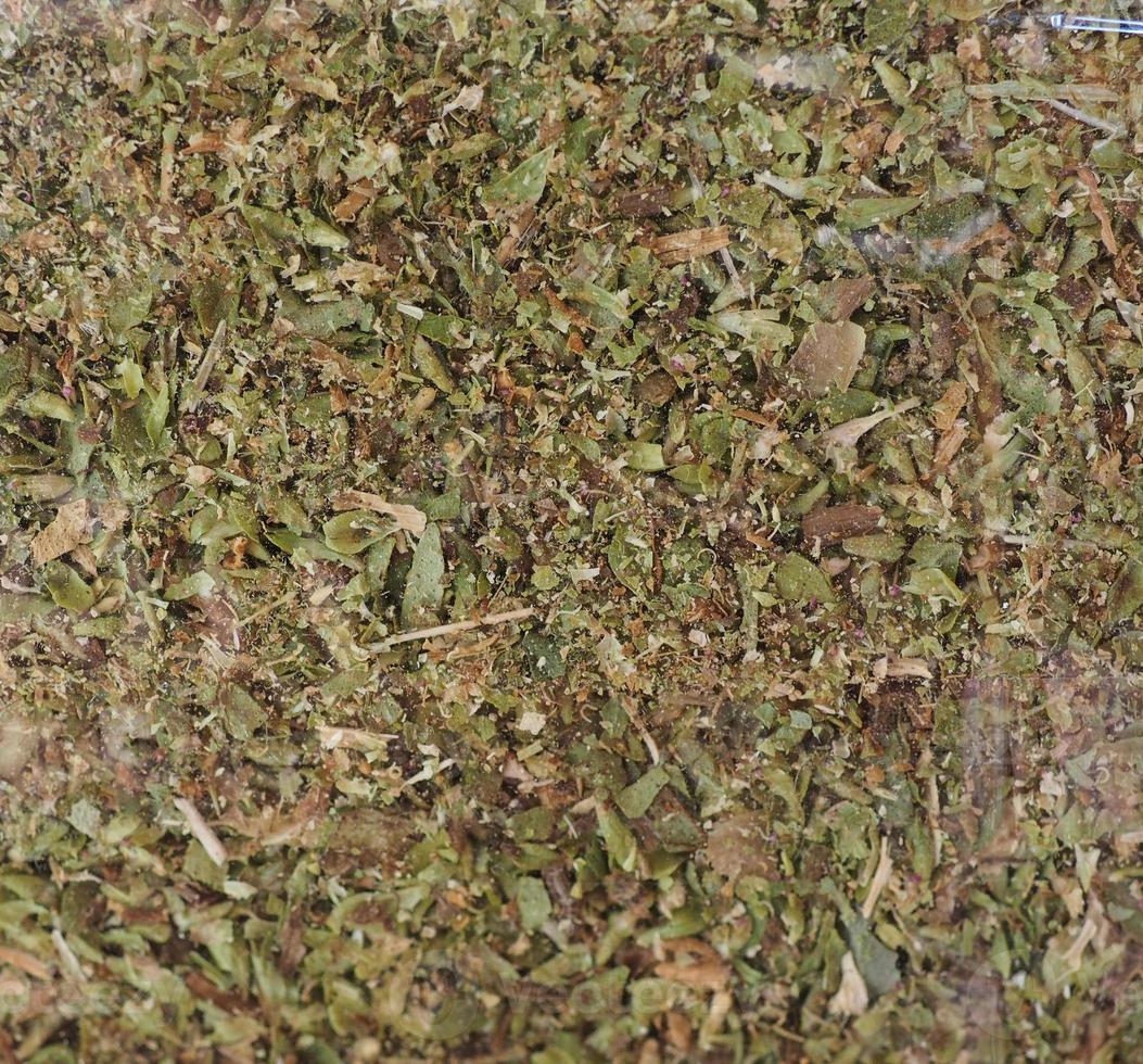 Oregano herb aka marjoram photo