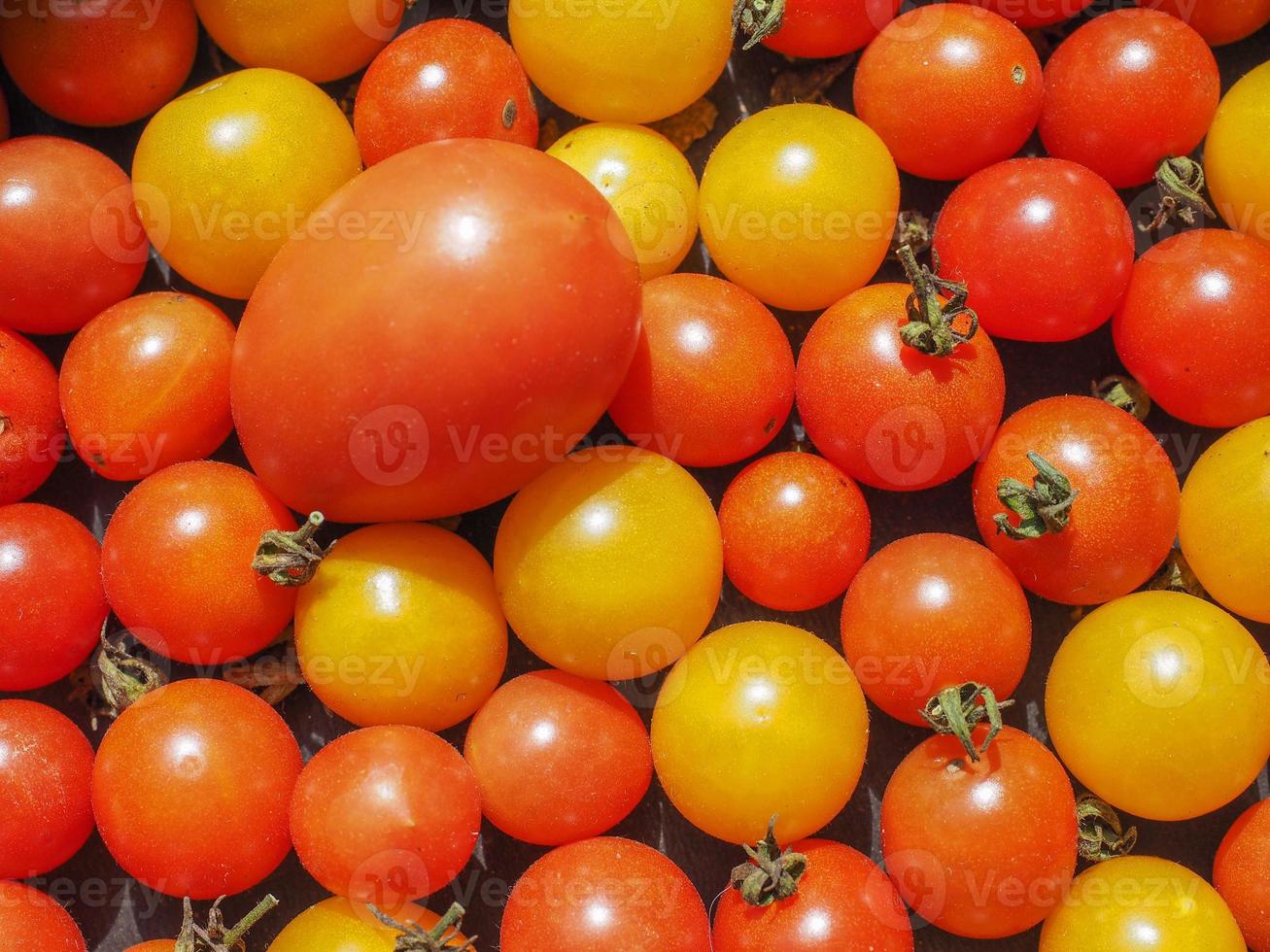 fondo de verduras de tomate cherry foto