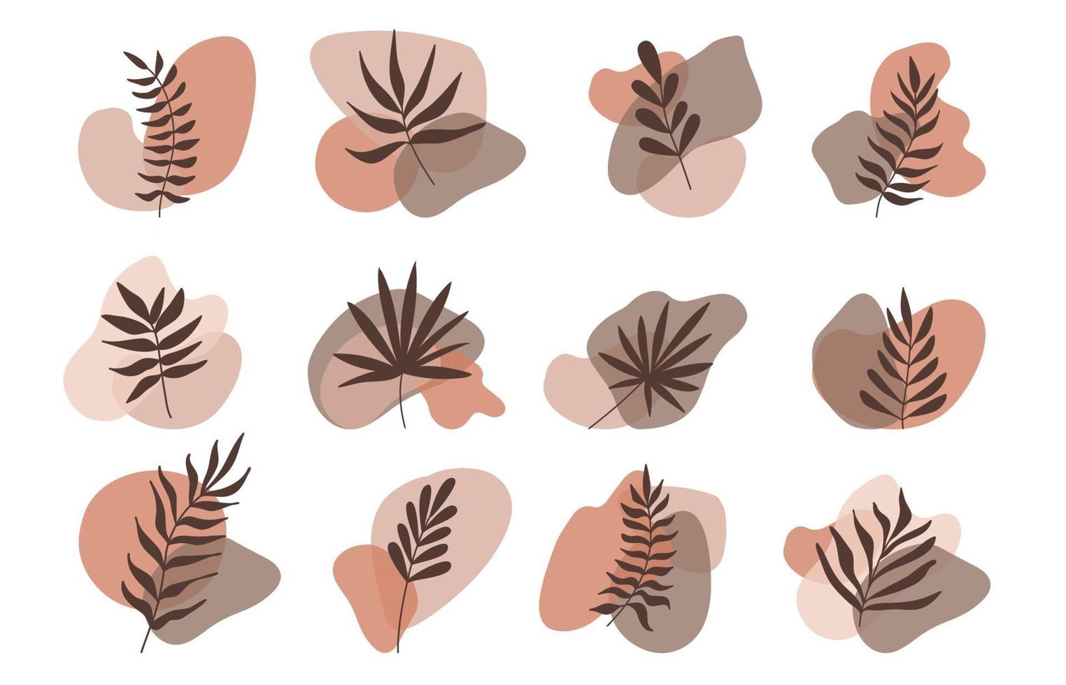 Vector abstract botanical compositions with various forms.