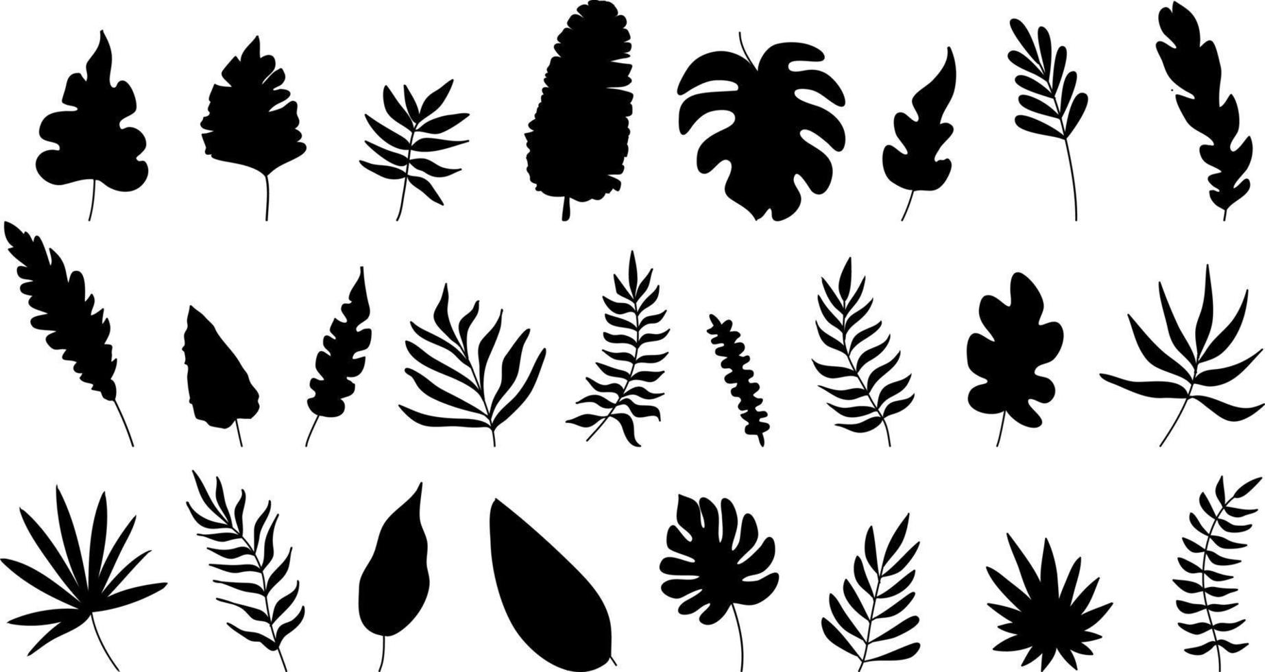 Exotic leaves set black and white vector illustration