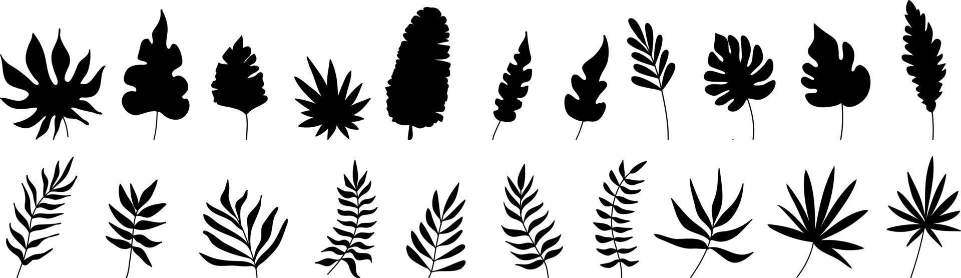 Hand-drawn Set of tropical leaves in silhouettes. vector