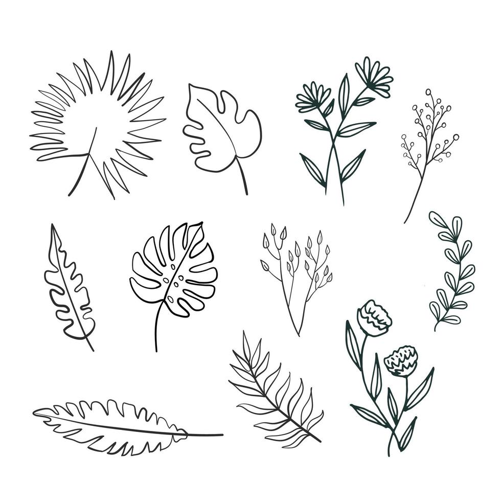 Doodle set tropical and exotic leaves silhouette vector