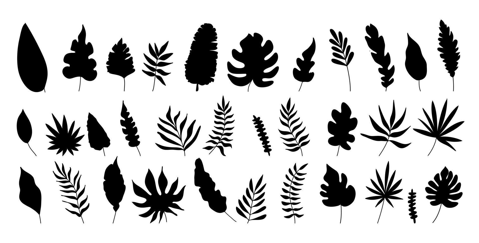 Vector illustrations silhouette of palm trees and leaves.