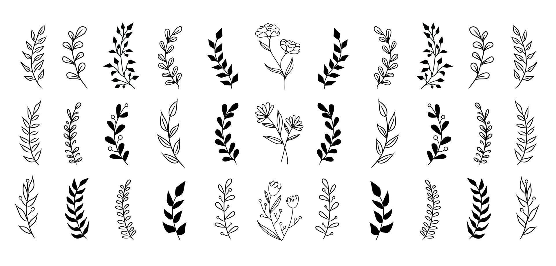 Set of vector vintage floral elements