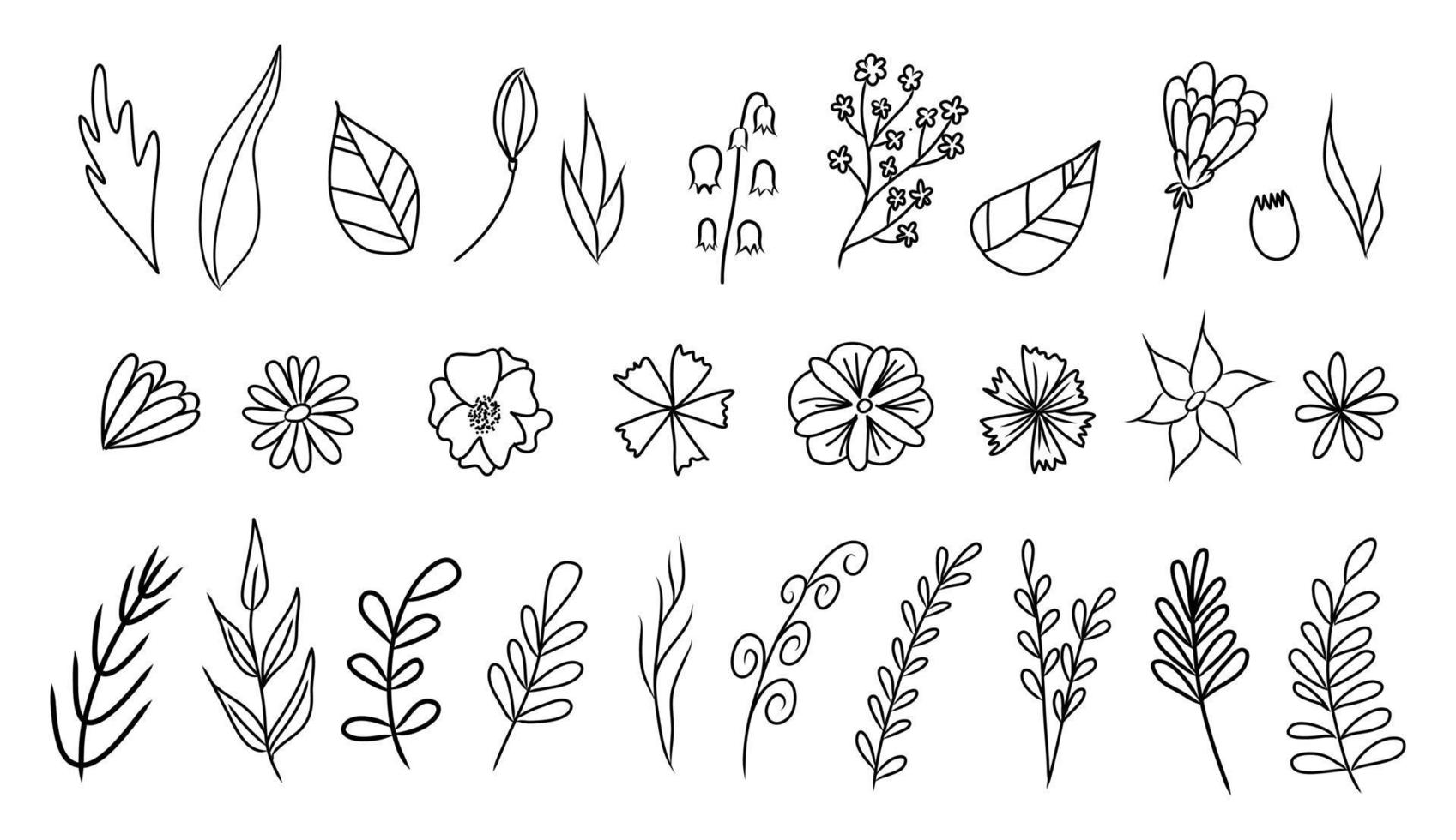 Set of vector vintage floral elements.