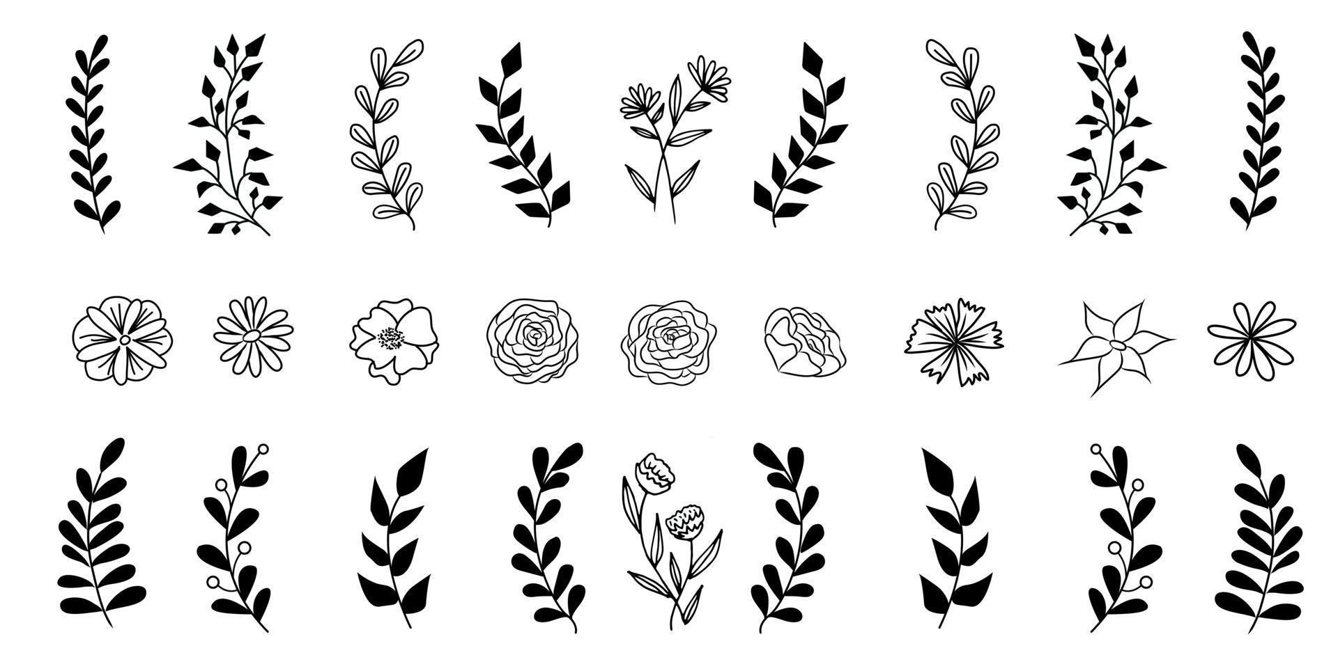 Set of vector vintage floral elements.