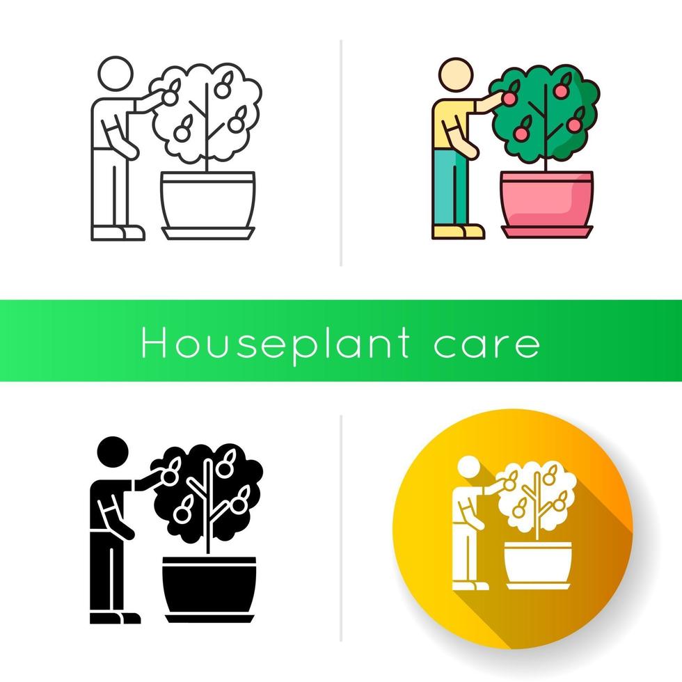 Collecting fruit from mini citrus tree icon vector