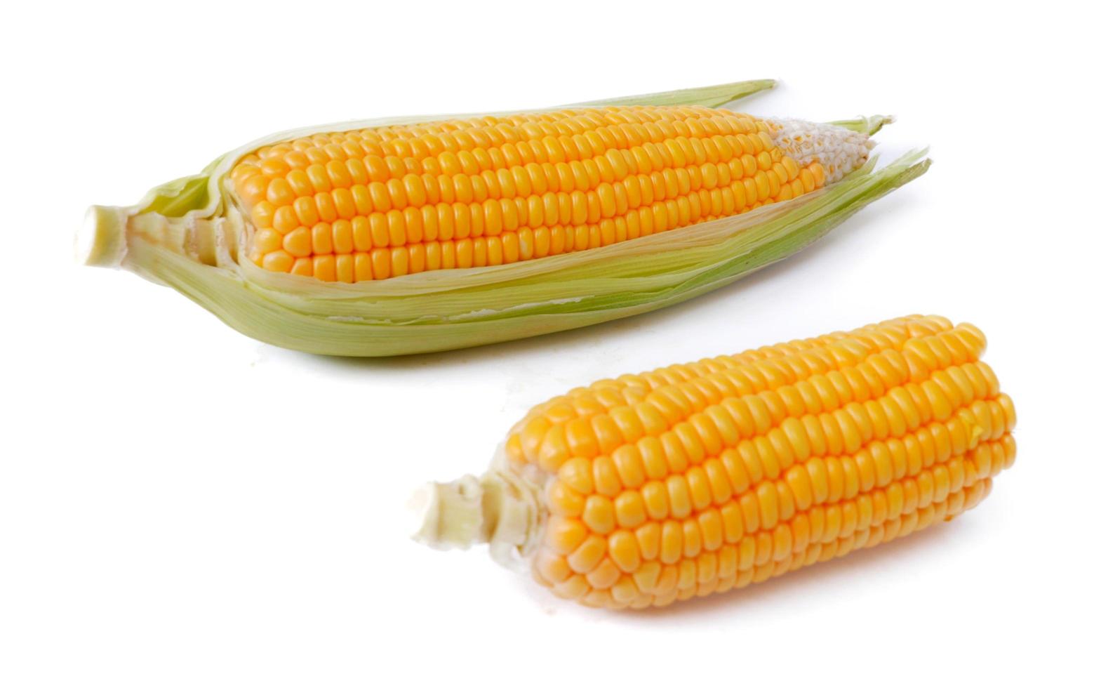 Sweet corn isolated on a white background photo