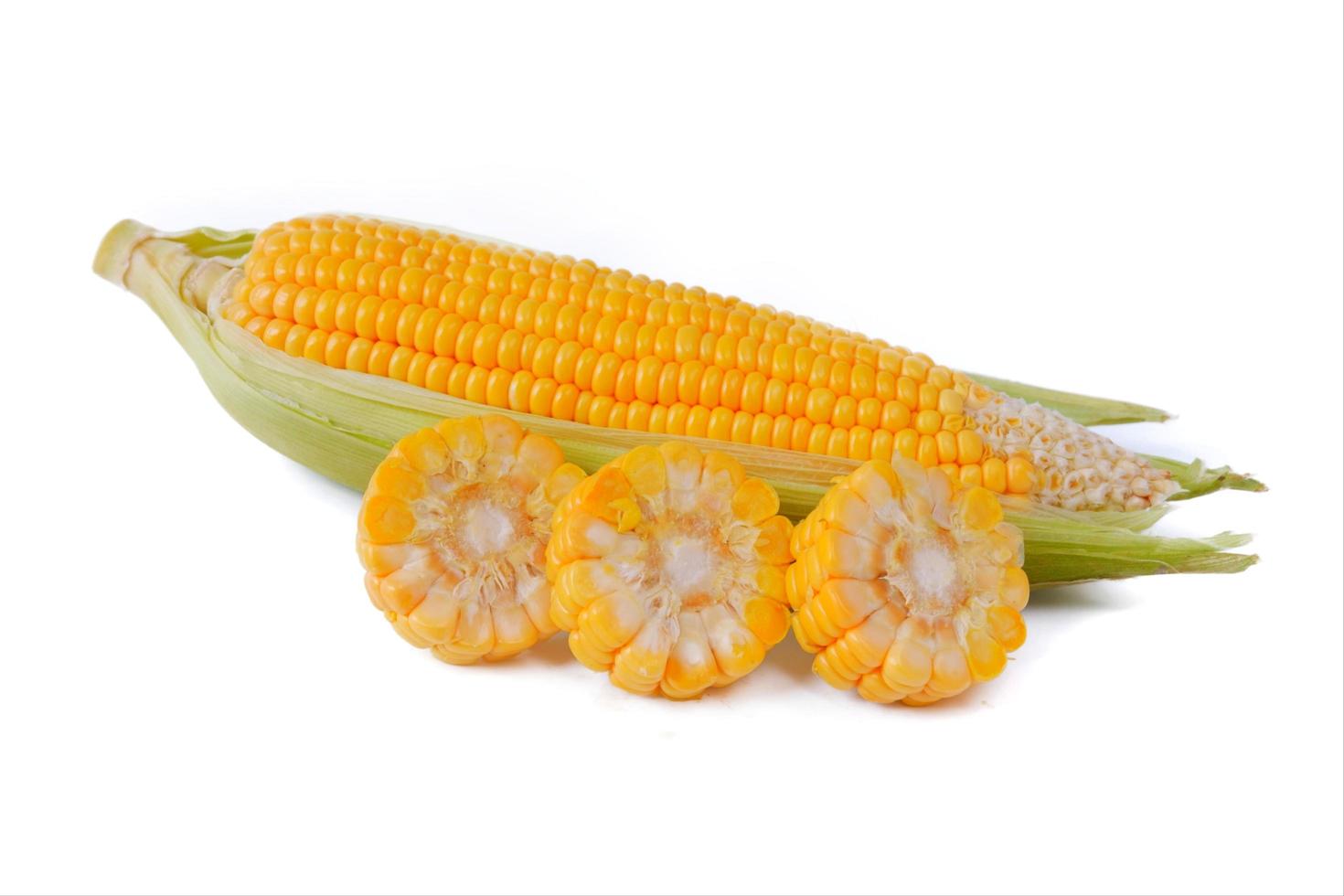 maíz dulce aislado sobre un fondo blanco foto