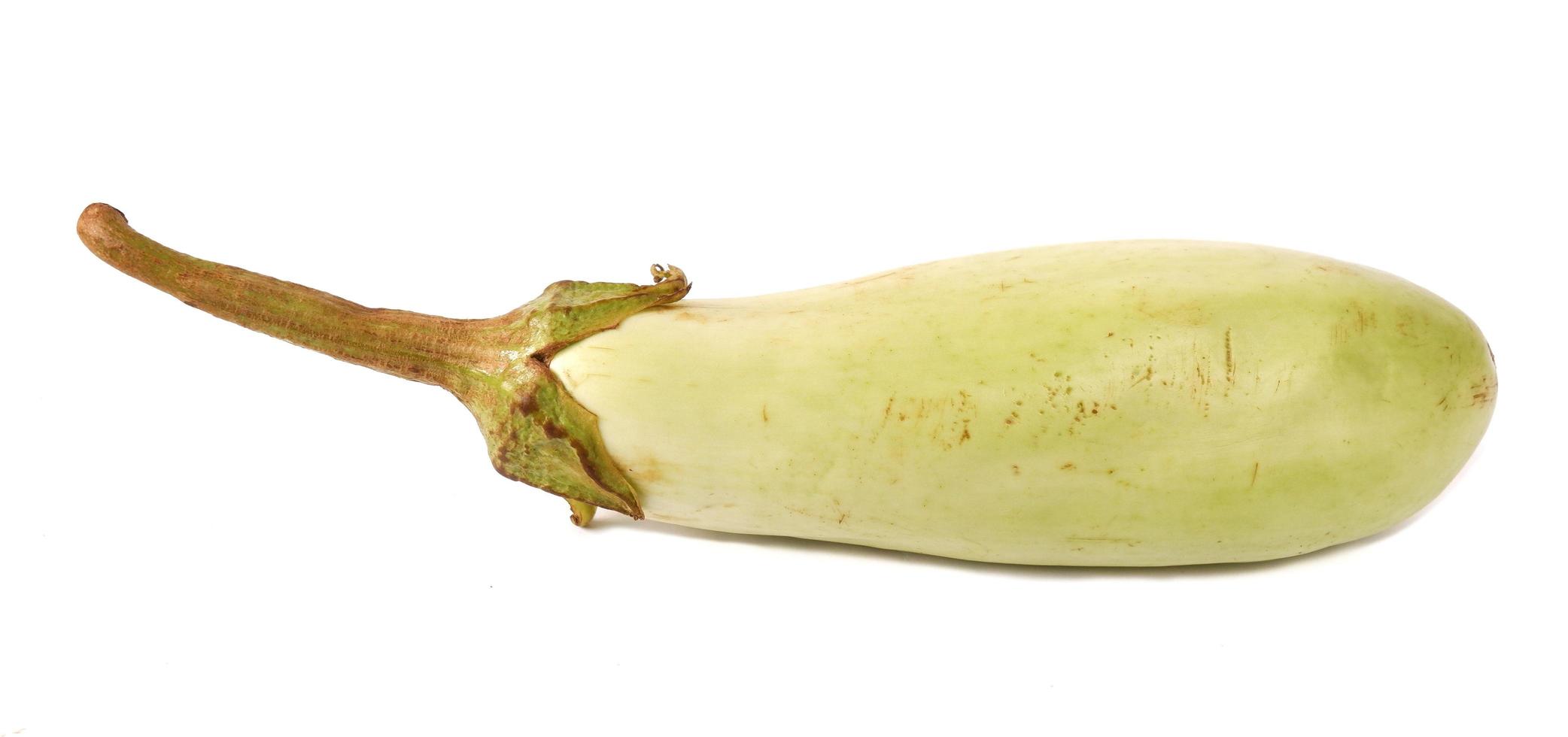 Green eggplant isolated on a white background photo