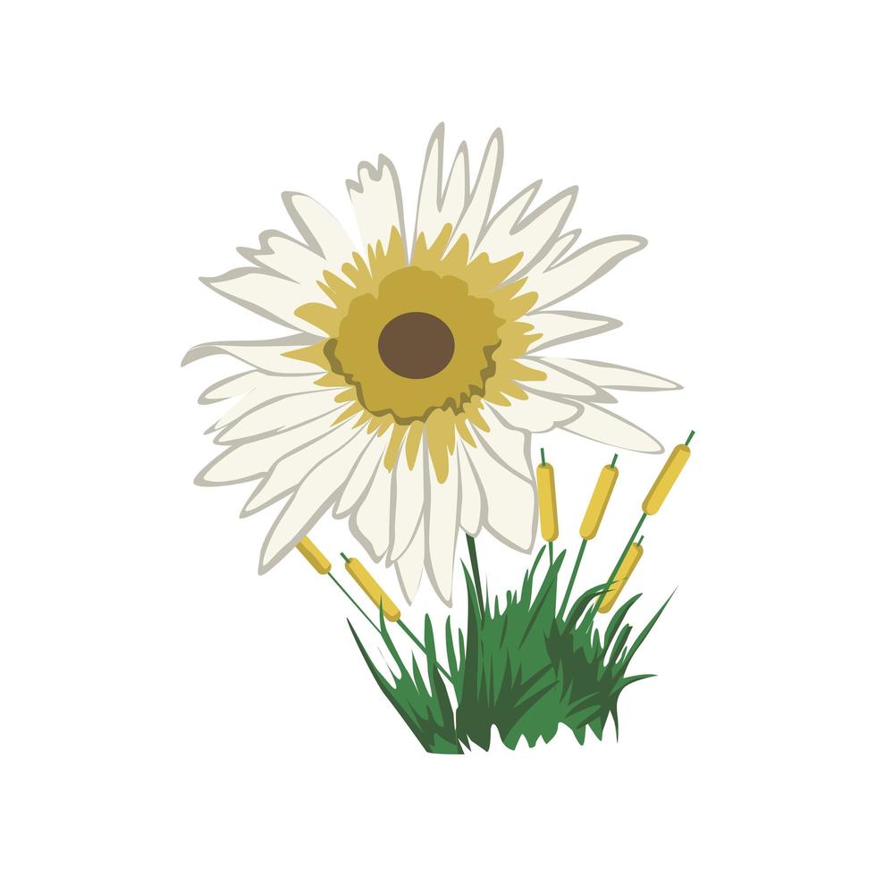 Daisy Flower color clip art Design vector