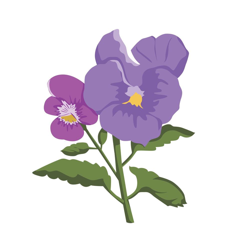 Pansy Flower color clip art Design vector