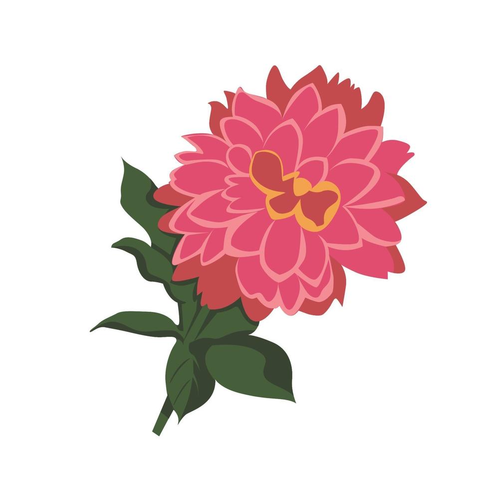 diseño de imágenes prediseñadas de color de flor de dalia vector