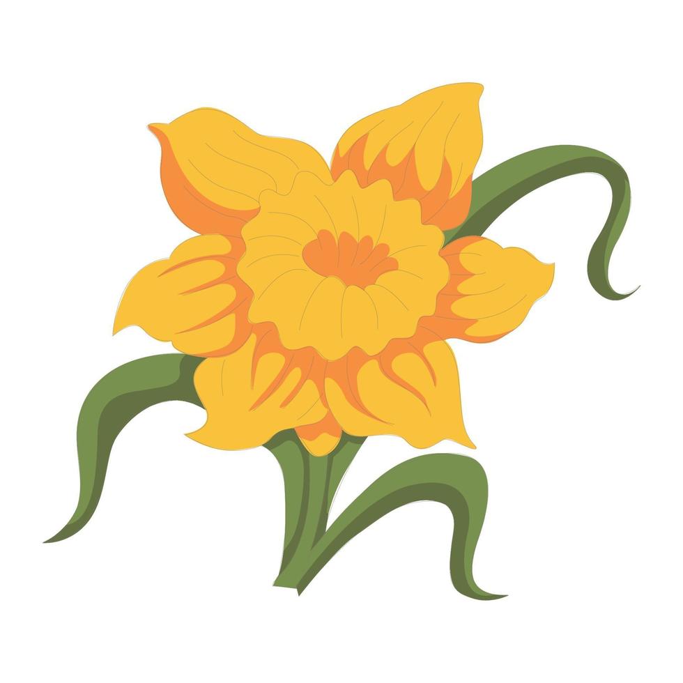 narciso, flor, color, clip art, diseño vector